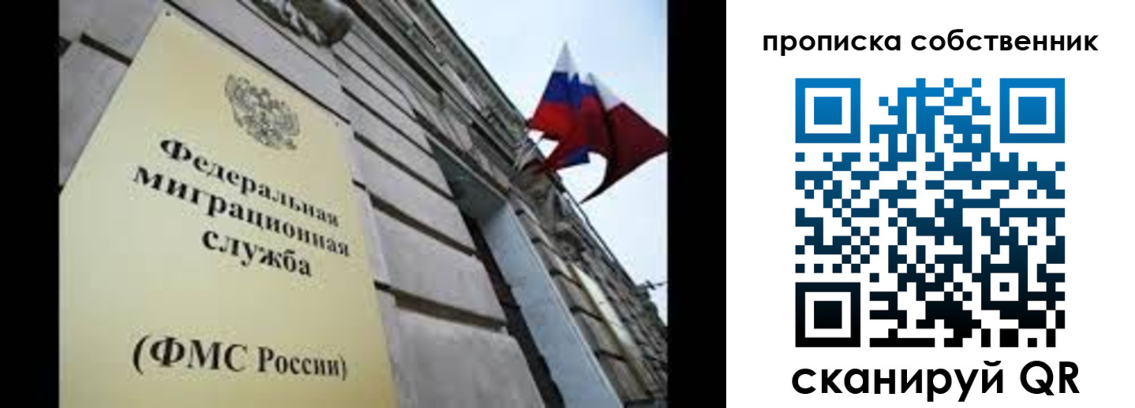 прописка гарантия в Ельце